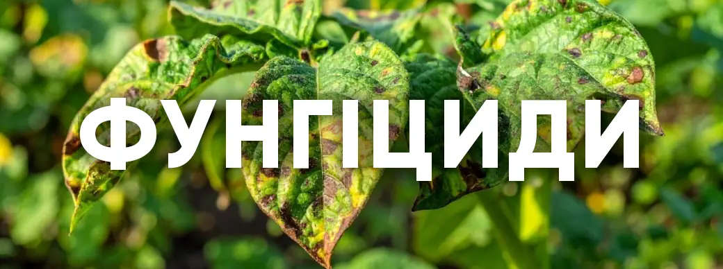 Фунгіциди IMEX Агро