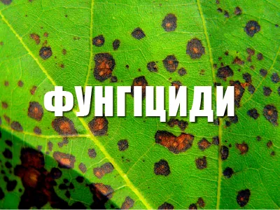 Фунгіциди ІМЕКС Агро