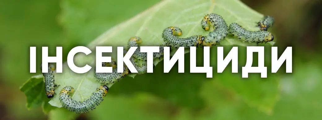 Інсектициди IMEX Агро